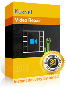 kernel video repair